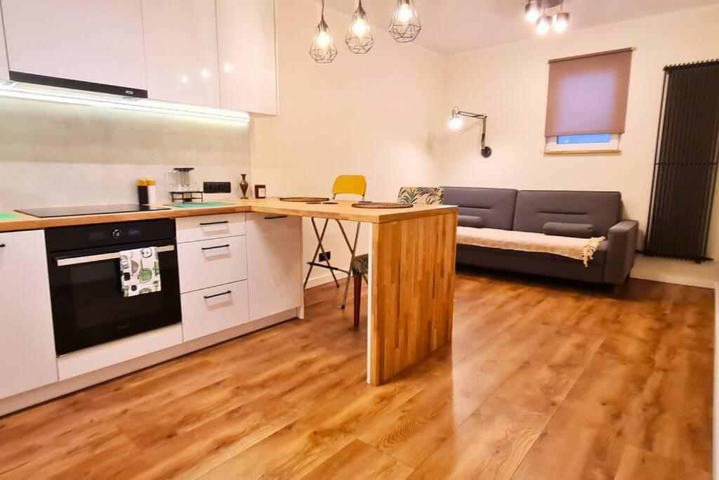 Modern 2 Bedroom Apartment/Kazimierz/Paulinska St. Kraków Zewnętrze zdjęcie